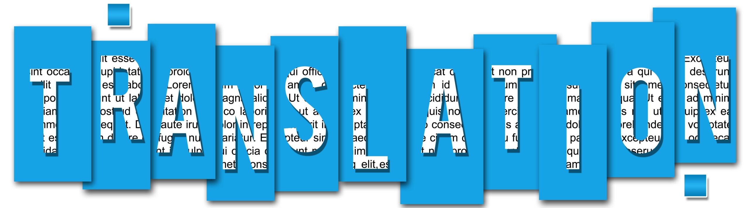 Banner-11-72-x-20-in-scaled